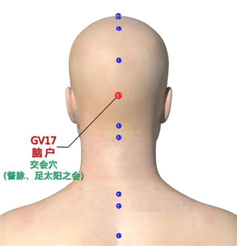 腦門穴|腦戶穴位置 